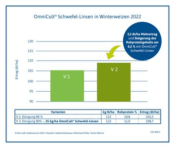 Versuchsergebnis Schwefel-Linsen Winterweizen 2022, Rheinland-Pfalz