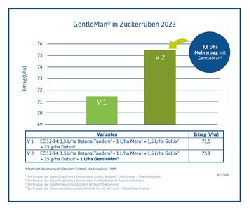 V23-055 GentleMan Zuckerrübe 2023 Niedersachsen KWS Süd-Niedersachsen